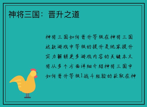 神将三国：晋升之道